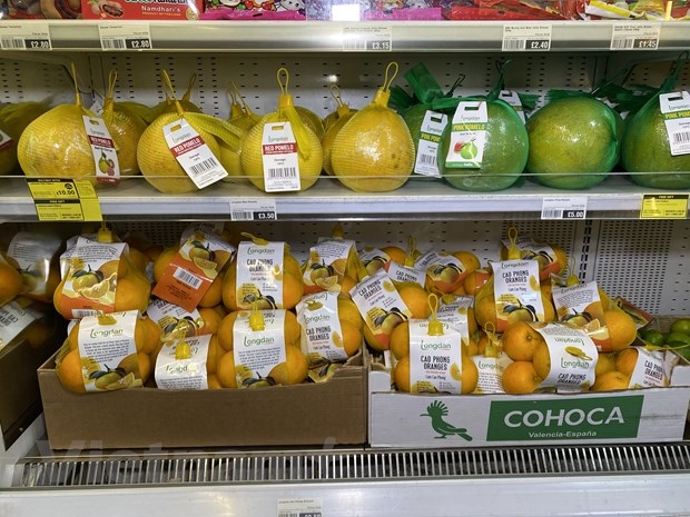 Vietnamese oranges hit the shelves of UK market